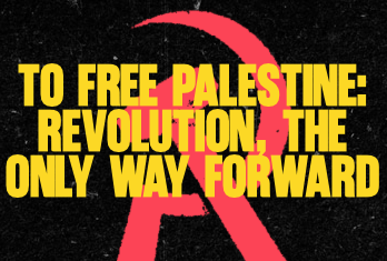 To Free Palestine: Revolution, the only way forward